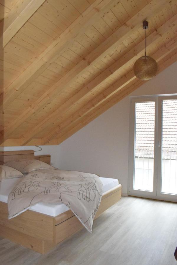 Appartement Sauers Schwarzwaldglueck à Appenweier Extérieur photo
